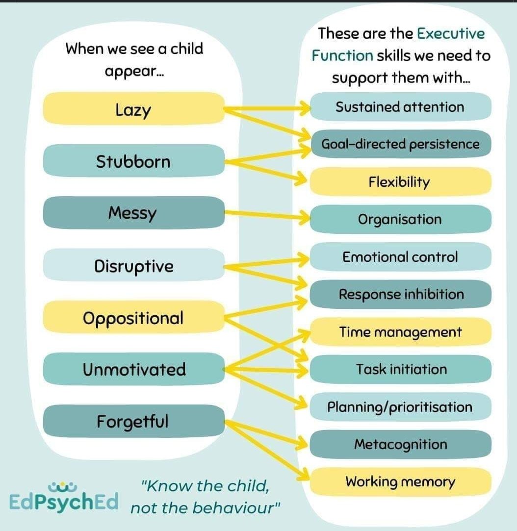Great #executivefunction graphic here from <a href="/EdPsychEd/">EdPsychEd</a>. 
#SEL #EFSkills