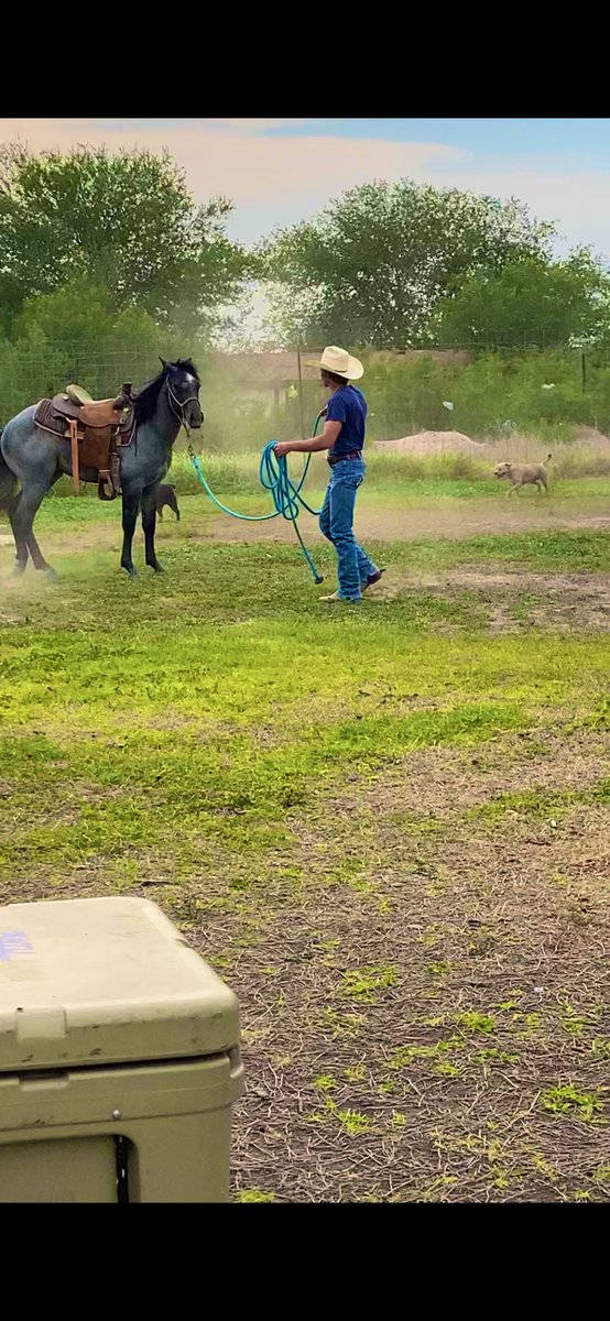 adriangonzale4's tweet photo. Wouldn’t wanna spend my days doing anything else. Just a little over a year old and Denali is showing so much potential. https://t.co/M2LJOi3Fg3