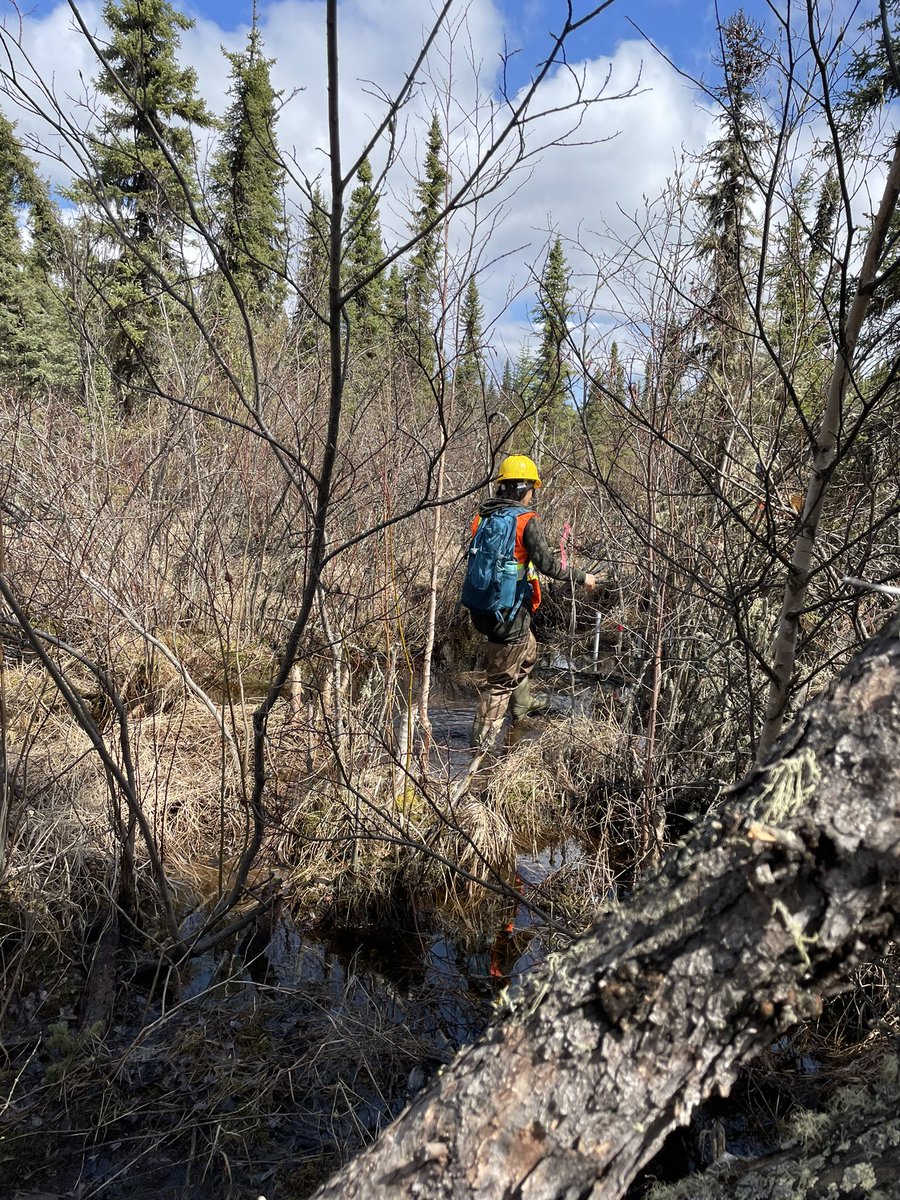 jasperkoch4's tweet photo. Second day in the field. A pretty good start to the field season! The drone didn’t fly into a tree and we stayed clear of booters. https://t.co/Oihhj4ERk8
