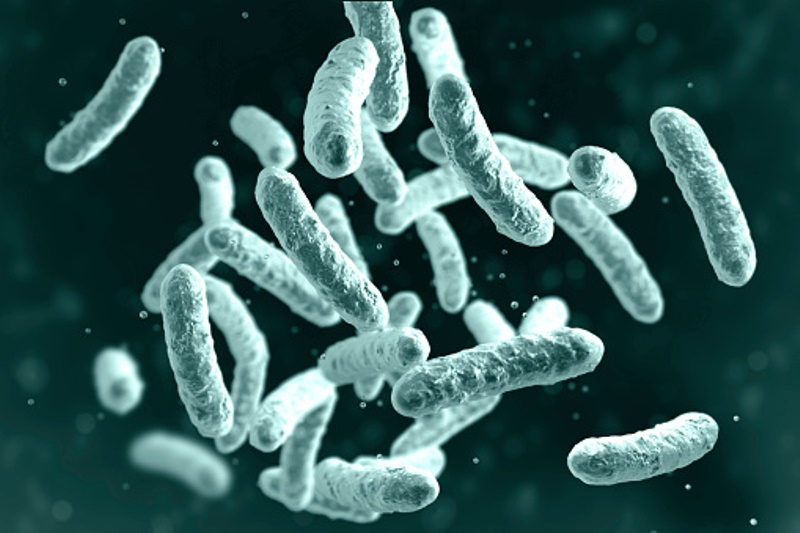 SECarnemolla's tweet photo. Stefania E. Carnemolla, Casa di vacanza: ricordarsi della legionella, il batterio che si nasconde nelle tubature ➡️ https://t.co/bWjmyYI2Or
@tiscalinotizie
#legionella #legionellosi #casa #salute #legionellosis #home #health https://t.co/MkRm5T78Ma