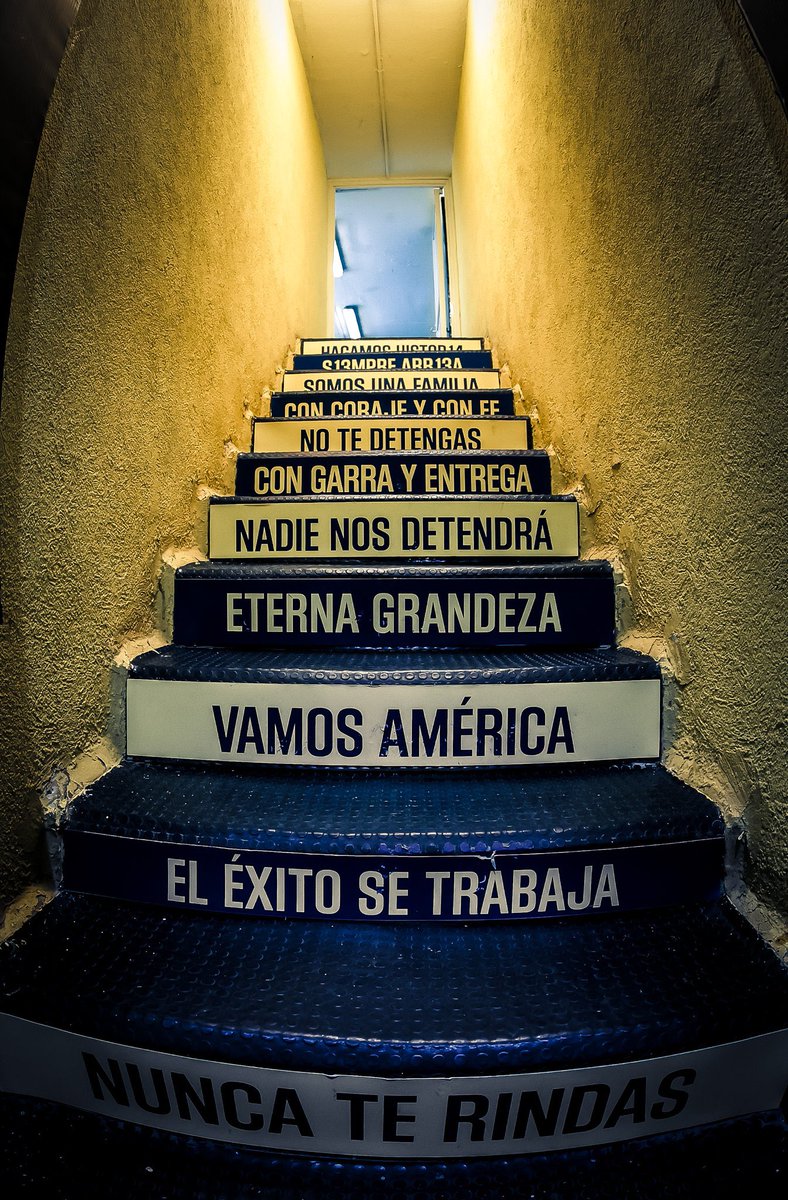 IntegroFit's tweet image. 