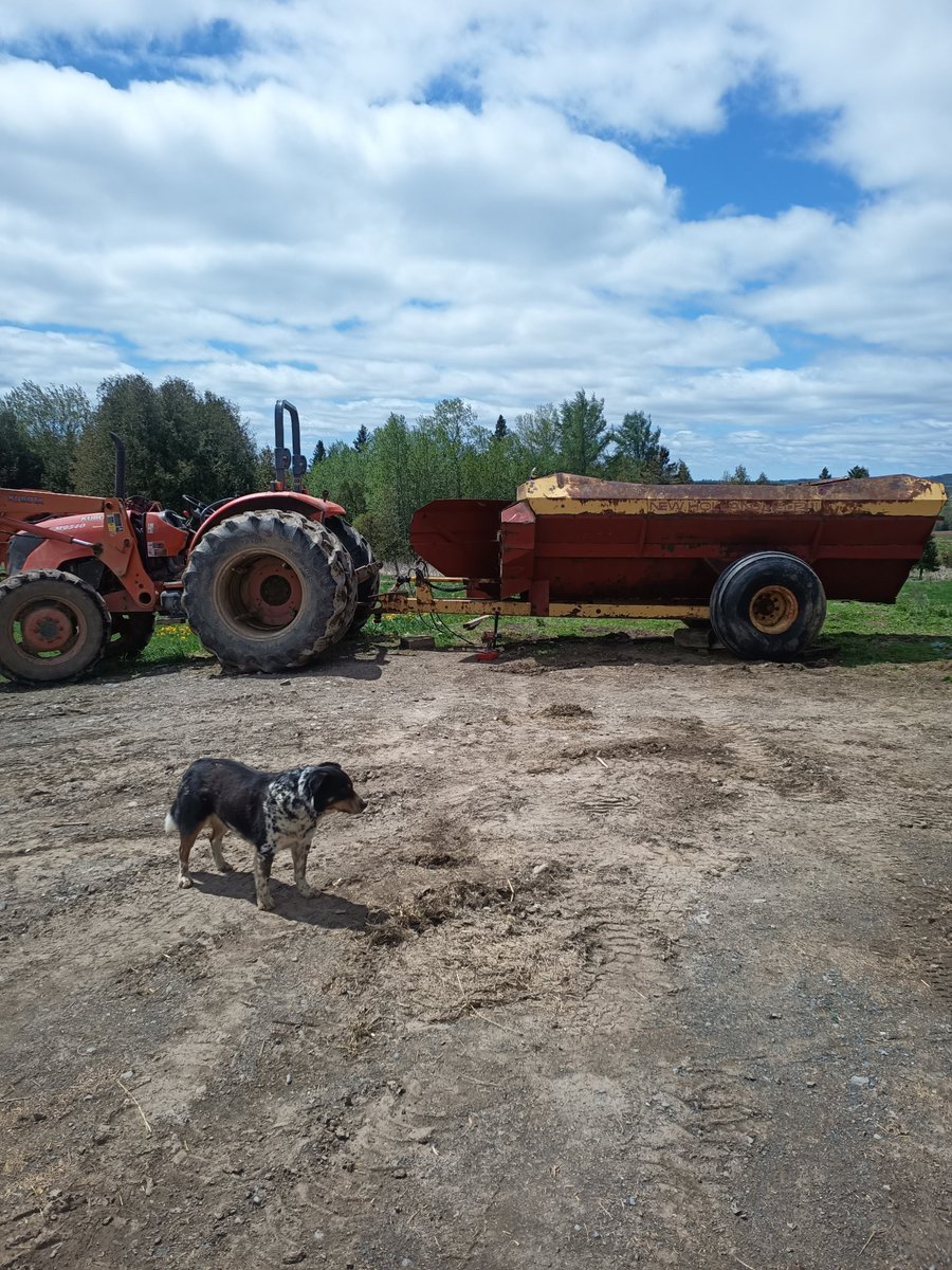 Sex door mat or sexual matador tweet media