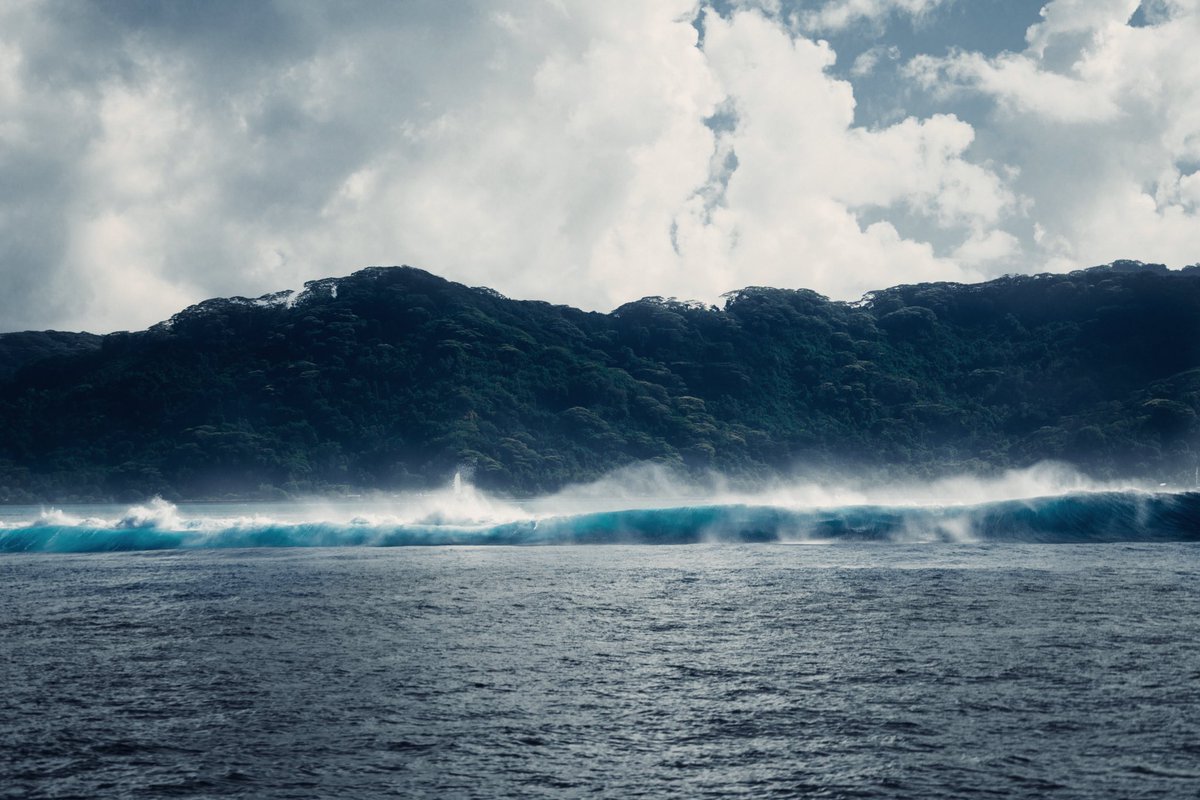 ᎶᎥᏁᏁᎪ ᎠᎪmmᎪᏁᏁ tweet media