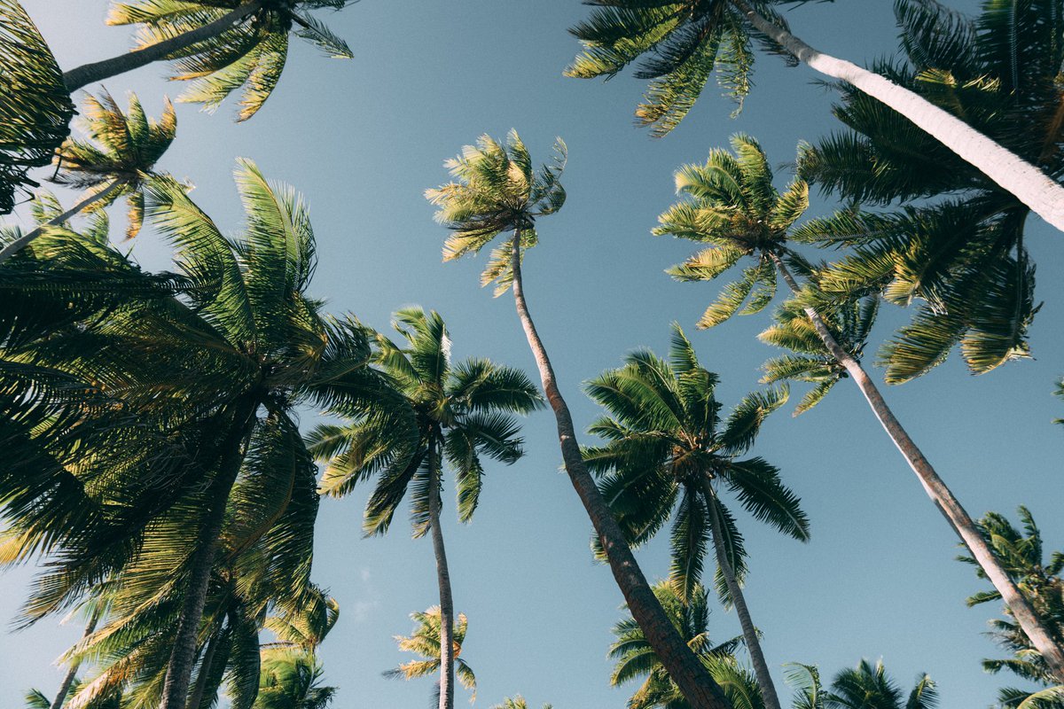 ᎶᎥᏁᏁᎪ ᎠᎪmmᎪᏁᏁ tweet media