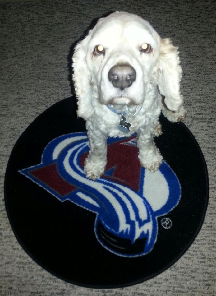 milehinic's tweet photo. #GoAvsGo https://t.co/iuOqQoW9Fm