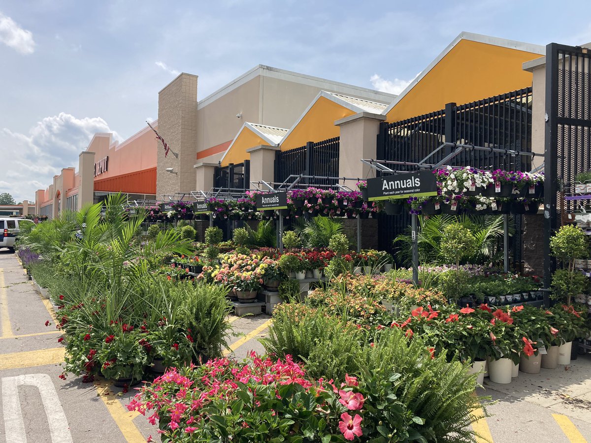 Amanda Fore tweet media