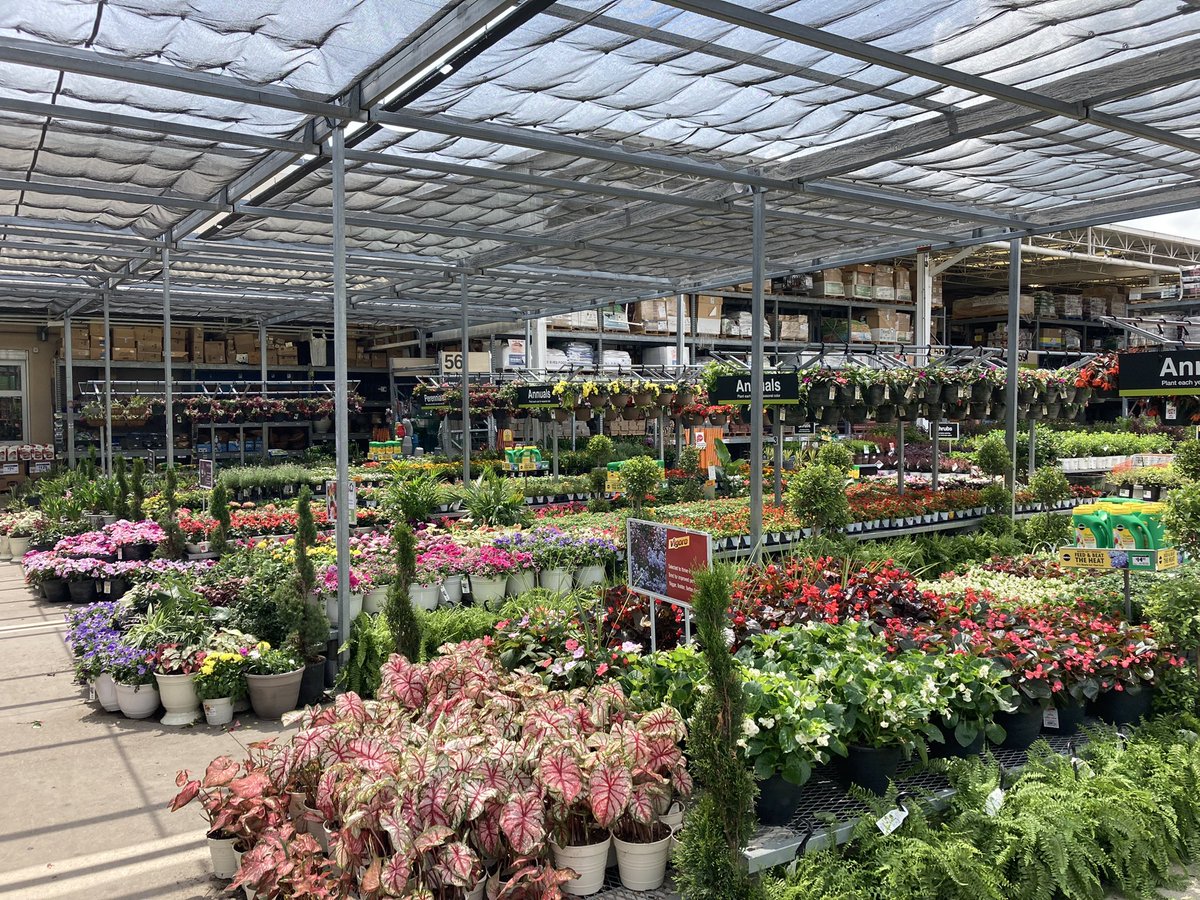 Amanda Fore tweet media