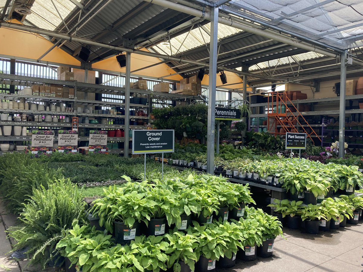 Amanda Fore tweet media