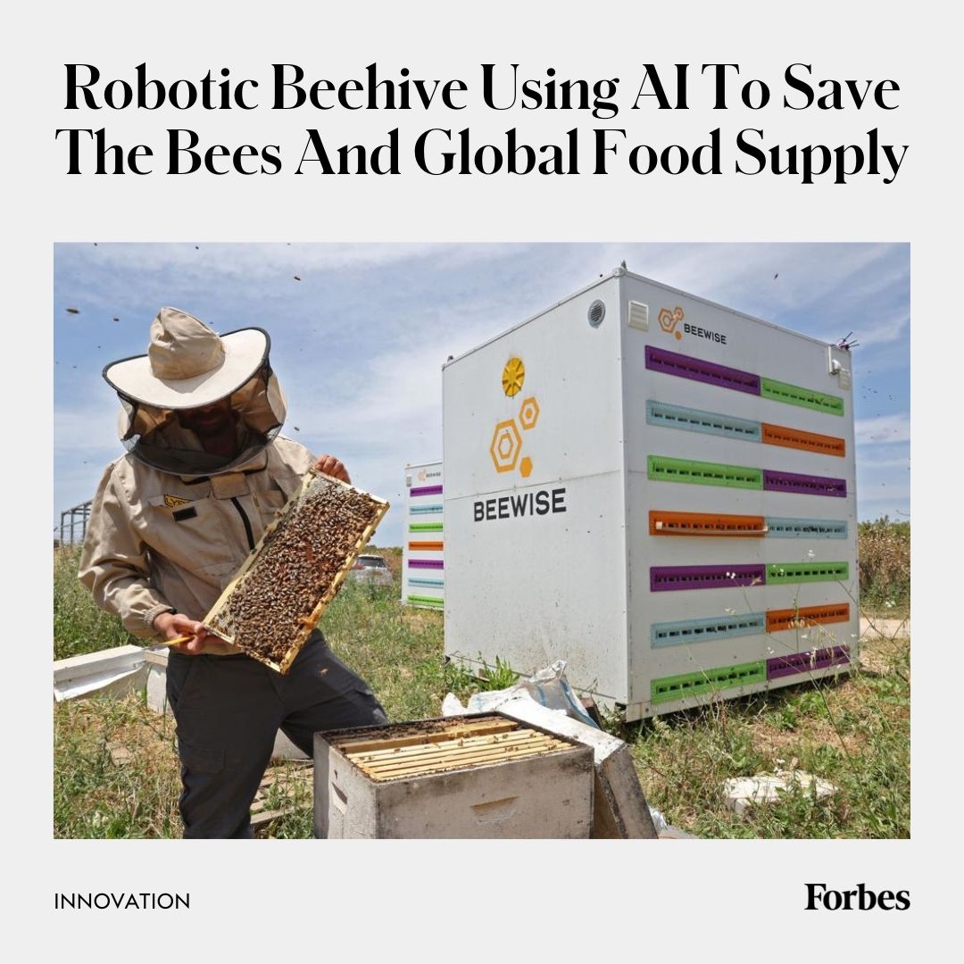 Forbes's tweet photo. Beehome is Beewise’s newly designed beehive that includes precision robotics, computer vision and AI. It enables constant monitoring of the bees, using AI to observe their needs in real-time. https://t.co/zy2MVYeiQe https://t.co/RdO2kIH9pV
