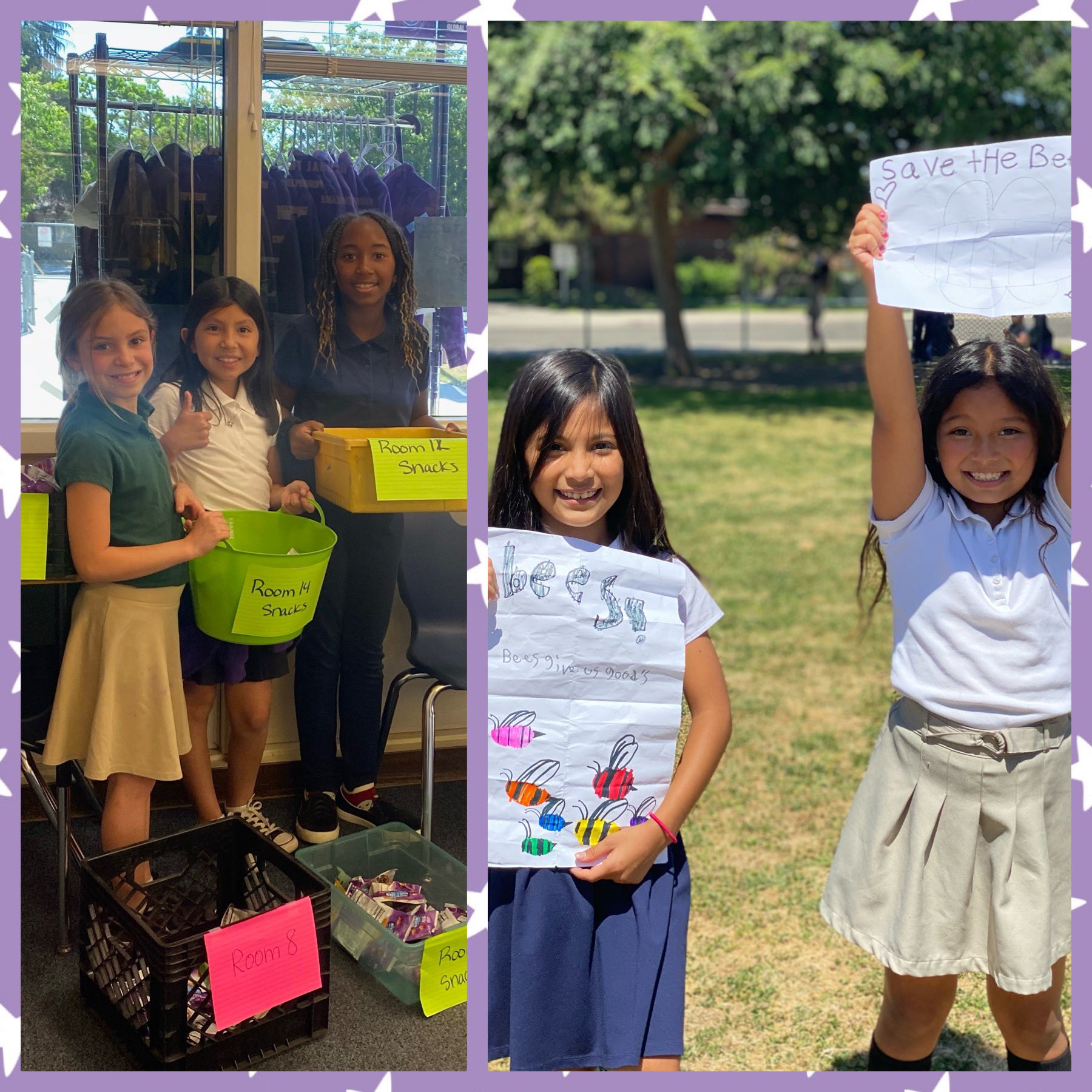 Dailey Charter on Twitter "Dragons taking action to save the bees and