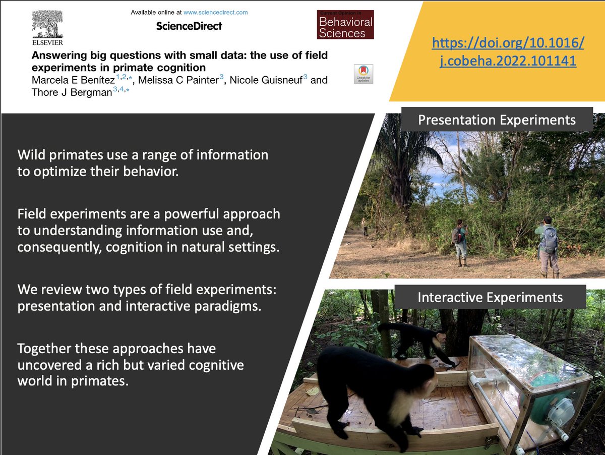 Check out our article "Answering big questions with small data: the use of field experiments in primate cognition" published in the #CognitionInTheWild special issue in CO Behavioral Sciences w/ <a href="/painter_mc/">Missy Painter</a> Nicki Guisneuf @VocalMonkey  sciencedirect.com/science/articl…