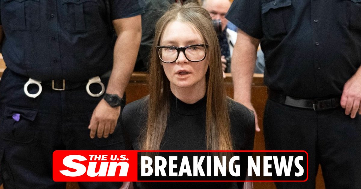 TheSunUS's tweet photo. #BREAKING: Anna Delvey drops surprise recording from ICE detention at art exhibition https://t.co/30xvurayfc https://t.co/XsxdnwoF91