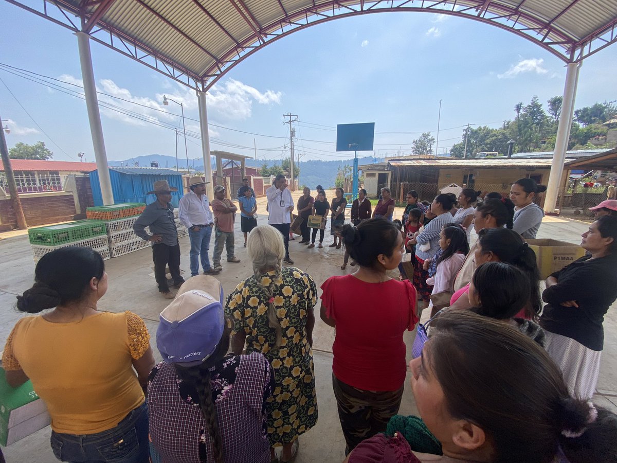 afodepoac's tweet photo. Llegué a San Idelfonso Ozolotepec, San Mateo Río Hondo, en donde tuve la oportunidad de platicar con mujeres que buscan una mejor vida para su #familia por eso desde #AFODEPO contribuimos para que produzcan alimentos para venta y consumo personal. @amelio_p https://t.co/7sUUywZmzB