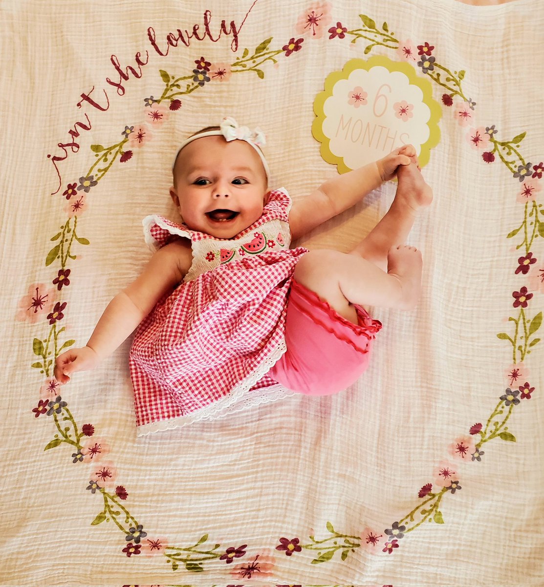 RevisedInk's tweet photo. @allieandbean @clydetombaugh @Kayz42 just wanted to say hi and check in! Makena is 6 months, bonding with Rio, got to meet Aunt Kailei thanks to your show bringing us together, and Rio/no bird celebrated his 10th birthday. Cheers from Florida and thinking of you Allie and Bean! https://t.co/Zv2SVAmpdF