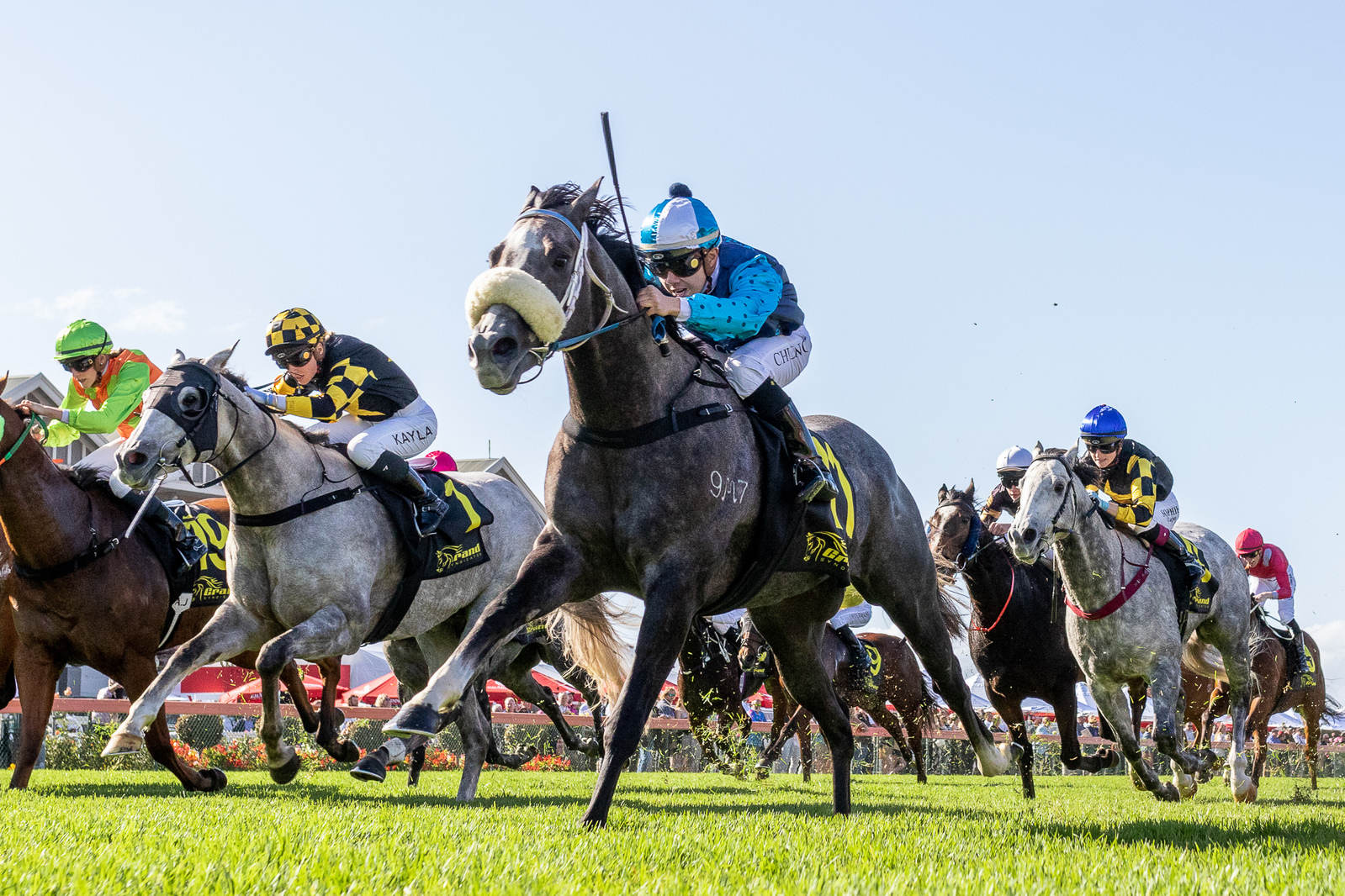 Racing SA on Twitter "Don't miss James_Jordan's key info for Goodwood