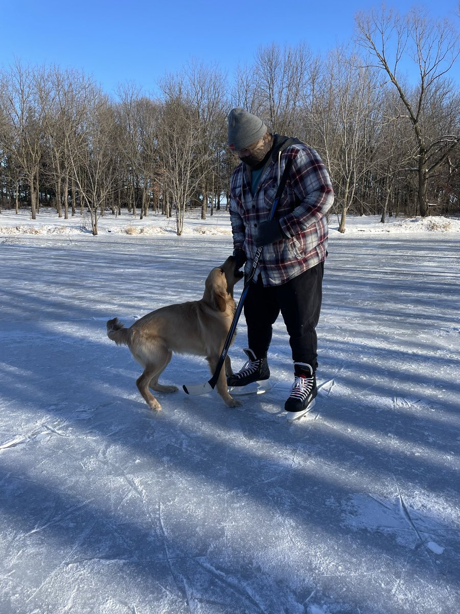 Coach_Lape_'s tweet photo. Cash turned one the other day! Best dog a man can ask for. #GoldenDad https://t.co/vqVN4INbzY