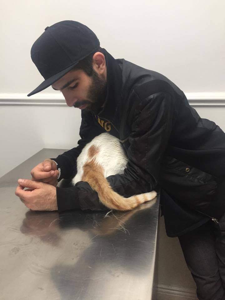 DinaAsat's tweet photo. @lindsaygoldwert Brother protecting Almond from the vet. Their love is pure ✨ https://t.co/C8ZSrFRFfg