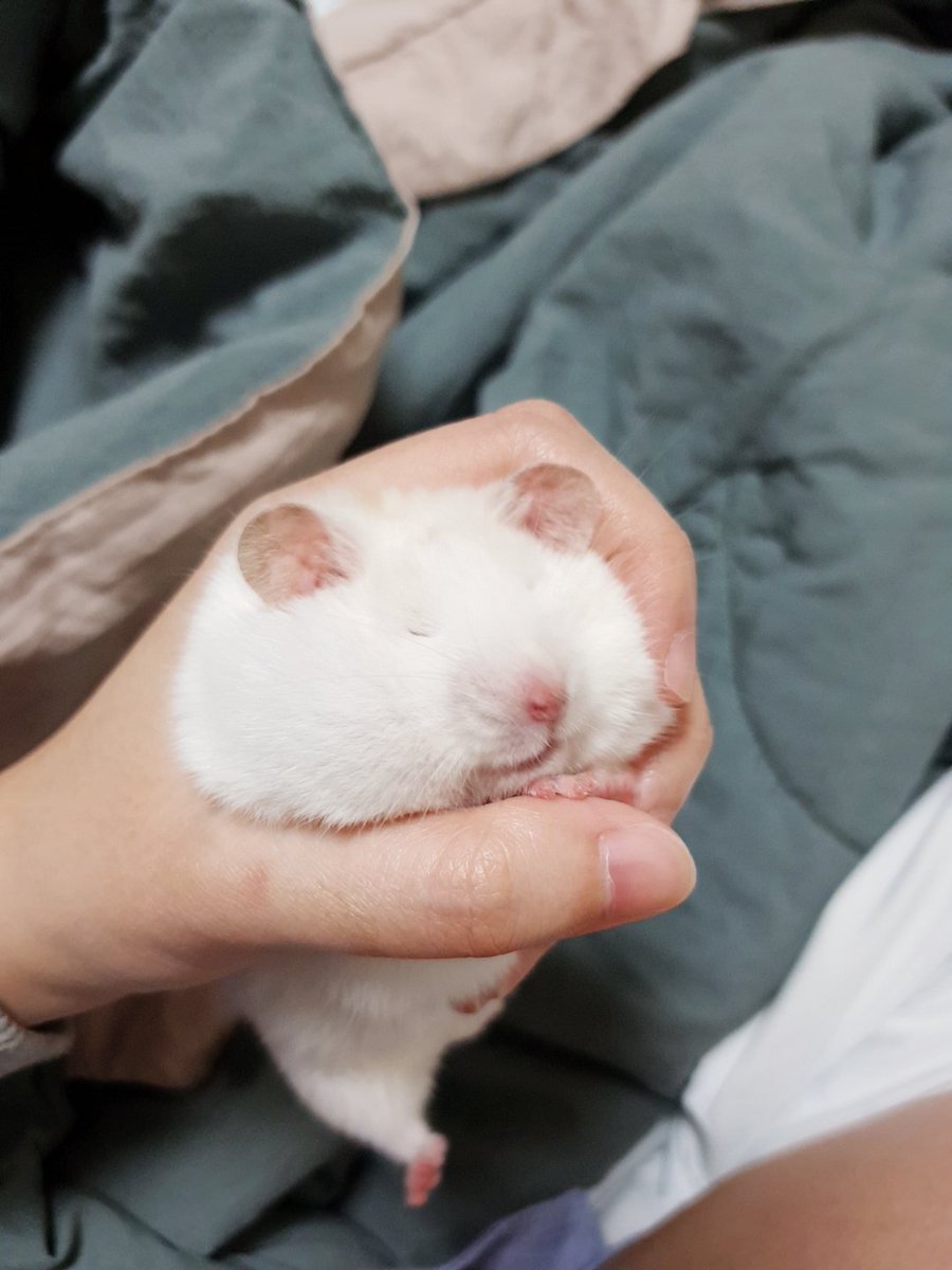 슬쩍 보고... 
                                   안 본 척...