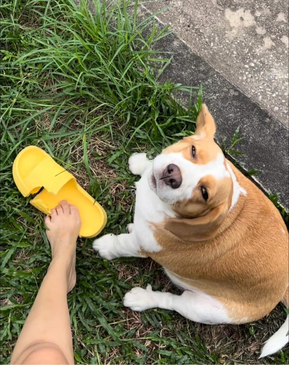 อิอิ มีปัญหา​เหยอ