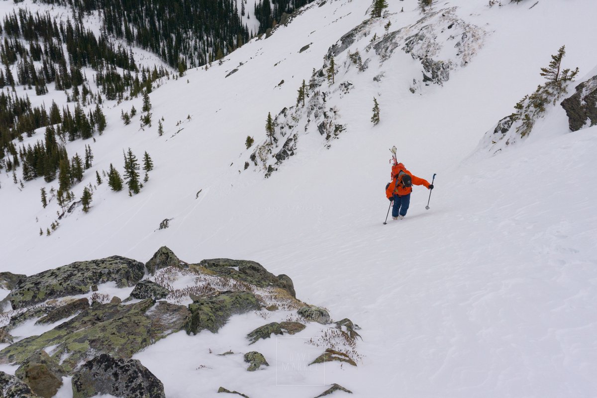 AlpineLifer's tweet image. Earn Your Turns
Sometimes skinning up the slope just isn&apos;t possible and we are forced to put skis on our back and brute force our way to the top. 
#skimountaineering #bootpack #LFG