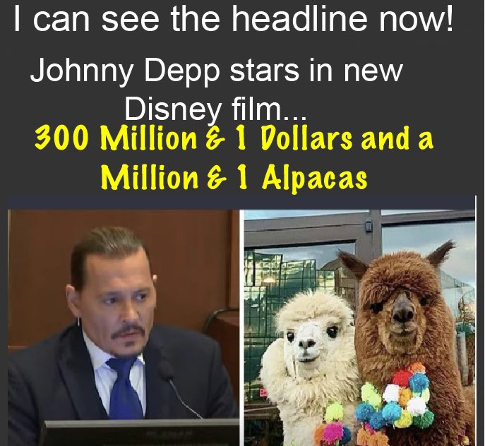 angiebrammer's tweet image. Anyone else?  #idseethat #JohnnyDepp #alpaca
