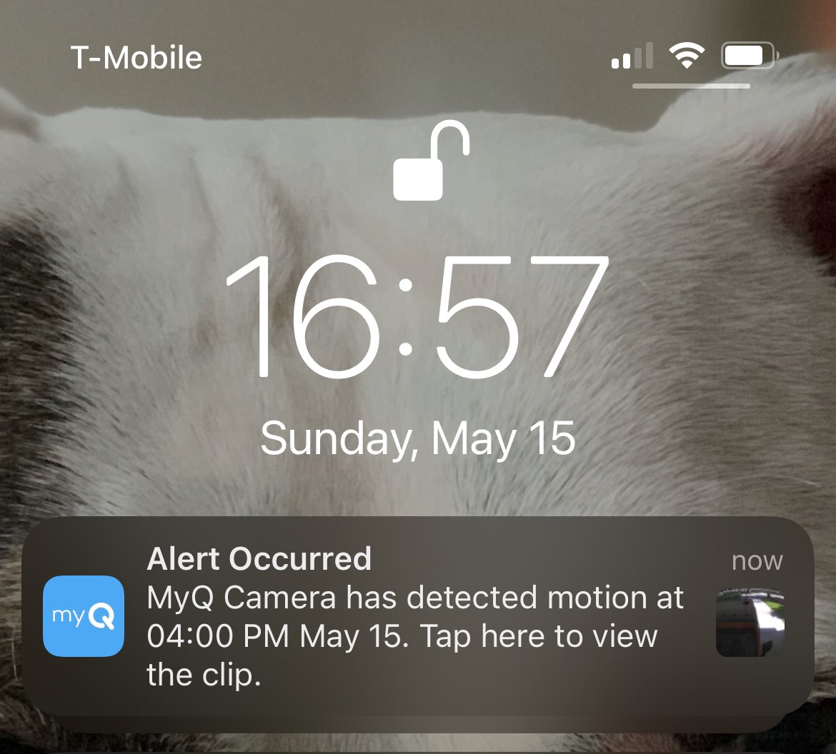 alexontap's tweet photo. @myQConnect why are the app notifications always delayed, by A LOT! Look at the time of the notification vs the time I received it on the picture, 57min after the event actually occurred! This is useless #MyQApp #MyQCam #Notifications #Useless #Fail https://t.co/EJ6IUxBpCj