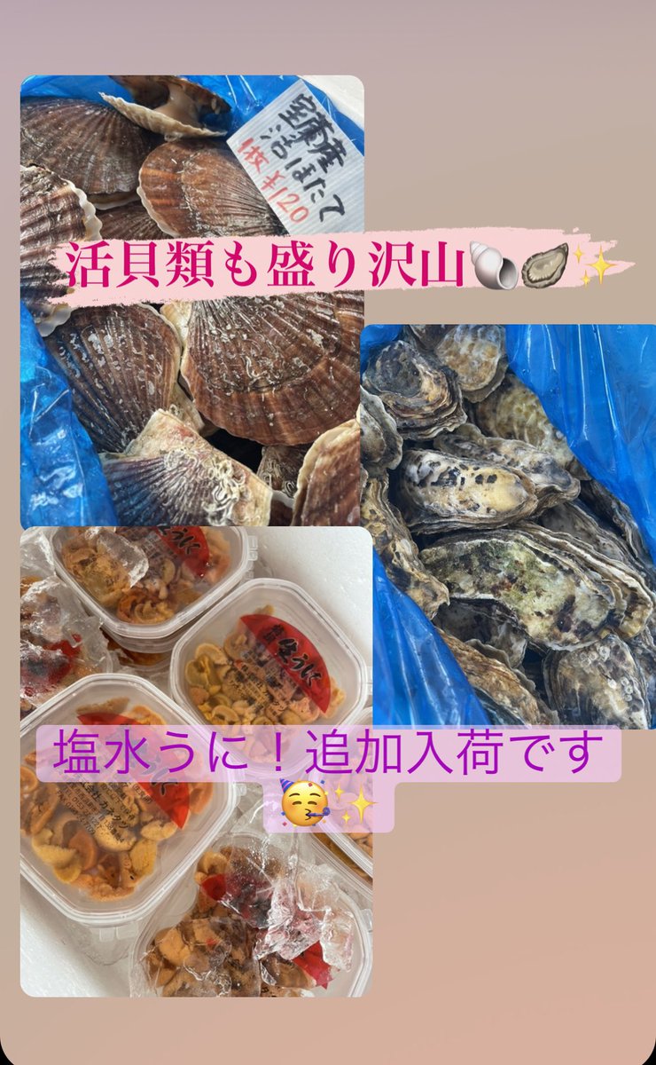 On5uHB9pGAWeqCj's tweet photo. おはようございます😃花金です🌸生ミンク鯨🐳塩水うに、生牡蠣、活帆立、活しじみ入りました🎉自家製干物には生身欠ニシンが登場で4種と漬け魚、茹でつぶ、ちょこっと盛り、目抜のアラパックは本日🉐500円‼️どうぞよろしくお願い致します😊🌈　#登別　#魚屋　#まるひろ伊藤水産　#刺身　#干物　#お土産 https://t.co/om1as3VB7P