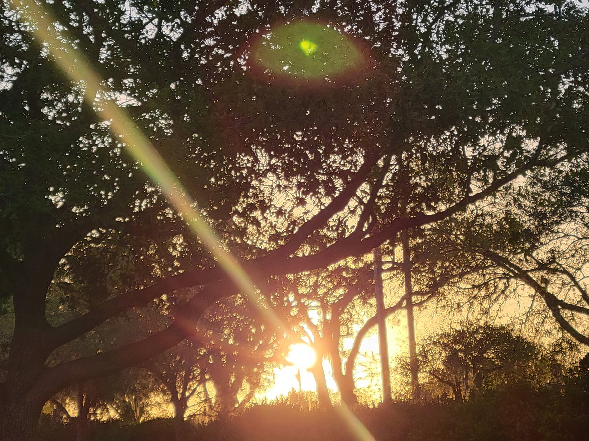 gordietheisen's tweet photo. “Baseball is one beautiful game, Like a one of a kind woman who can make you feel like you’ve never felt before. Like you’ll never feel again. When it’s over, there’s no guarantee she’ll let you down gently.” #BudCrawford #charliefightmasterandthesearchforperfectharmony #JoeSiple https://t.co/77RIpbidMl