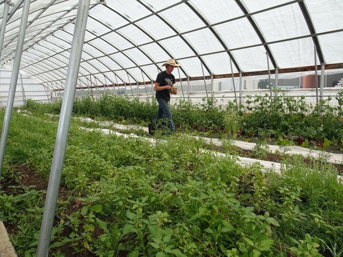 OurTownReno's tweet photo. Tanner Petrilla one of our #heroesofreno will be one of the green thumbs tmrw and Sat for a #keeprenogreen  UNR Extension Washoe County Master Gardeners hosted seedling sale in #Reno. Alert by one of our community members Donna Hawkins. Event page here: https://t.co/6EtFQF5AdH https://t.co/WchZPBcMWJ