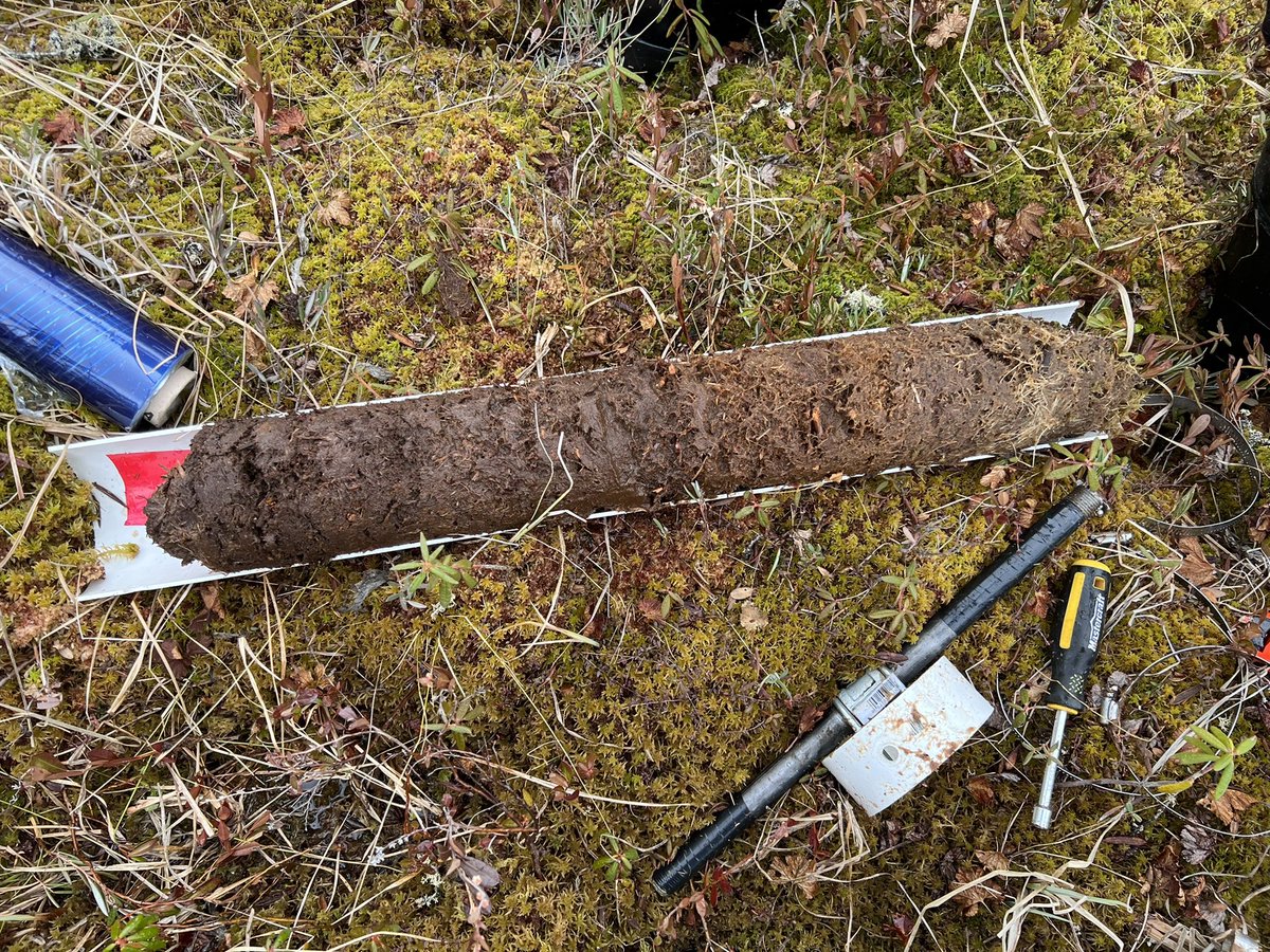 Dr Scott J. Davidson tweet media