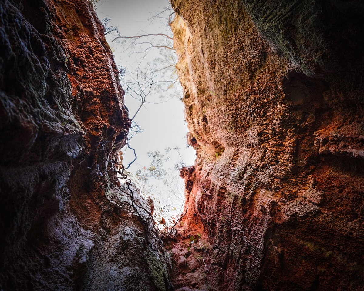 RivasFX_rivas's tweet photo. I find myself wanting to go back! Canyons always give you some unreal shots if you are willing to get uncomfortable #photography #fujifilm #canyon #lightroom https://t.co/cjVCd2WmL5