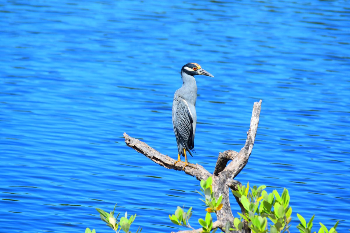 mathbuster2002's tweet image. 