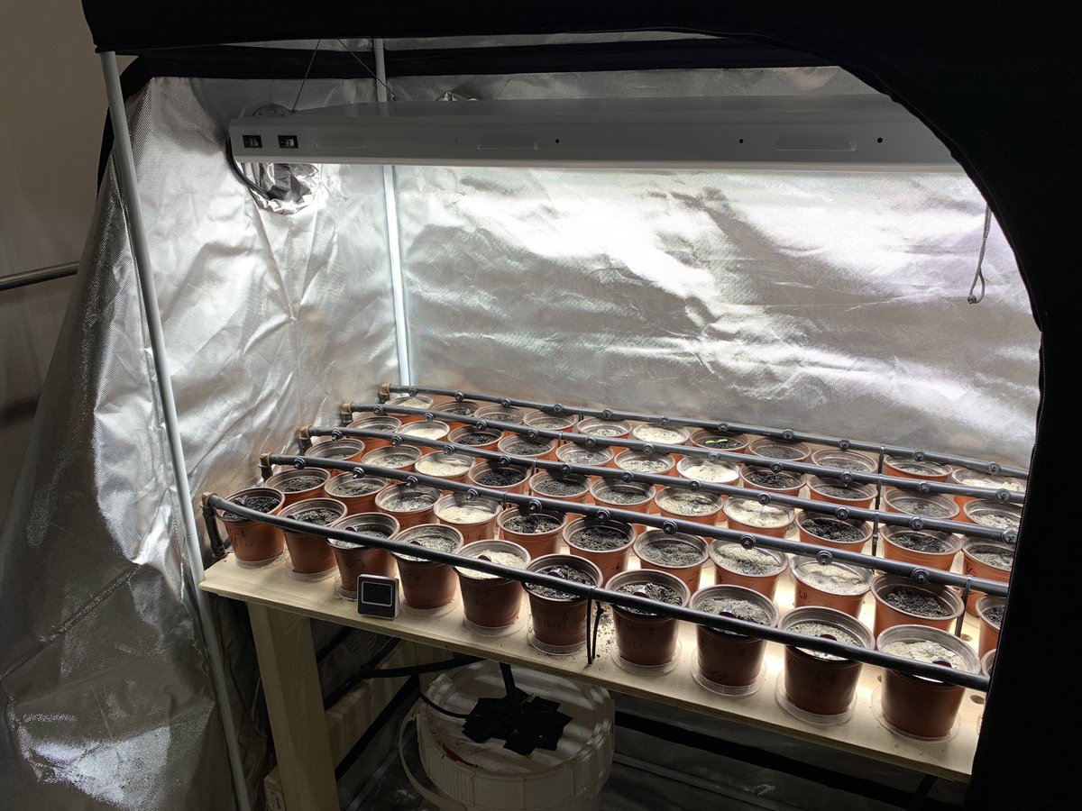 Fox35Matt's tweet photo. I had an out-of-this-world time at @ExolithLab this morning! @UCF researchers showed me how they’re creating building materials and growing plants using similar soil to that on the moon and Mars. One day this will help humans living on other worlds. #FOX35 https://t.co/rxCJbcyHpn