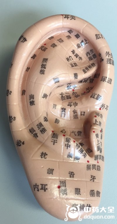 Johnny_Chu2018's tweet image. Ear seeds