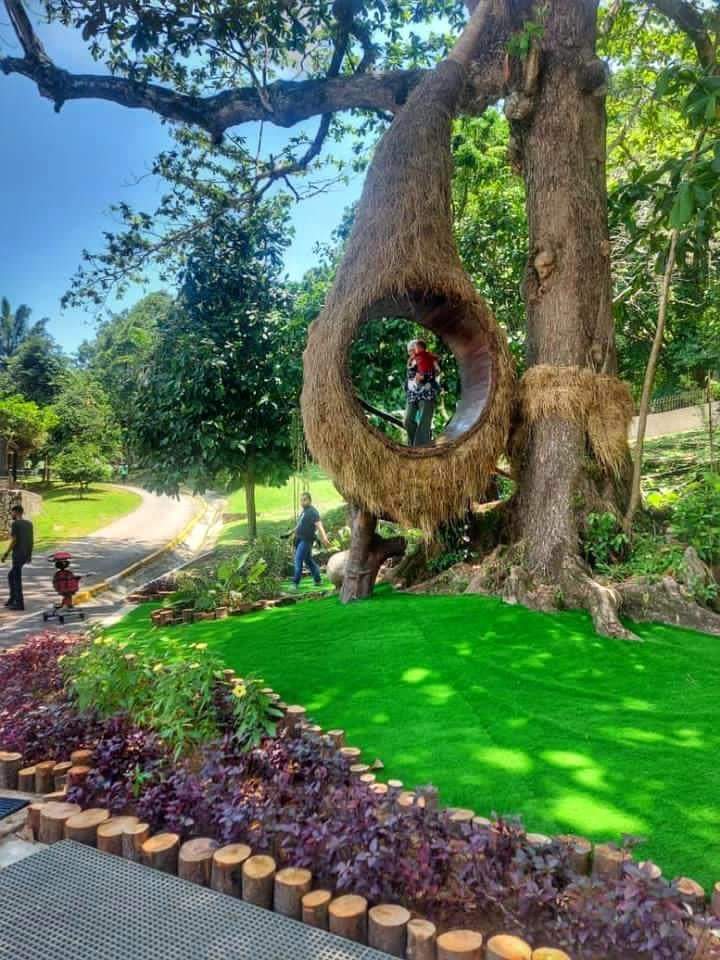 TourismPahang's tweet photo. Zoo Hibrid pertama di dunia dengan T-REX terbesar di Asia 🤩

🌳Zoo yang menggabungkan konsep hidupan sebenar haiwan dan haiwan animatronik prasejarah seperti dinosour

🌳Tarikan terbaru  The Hobbit House ada di sana 😍 https://t.co/1fUfWEttuv