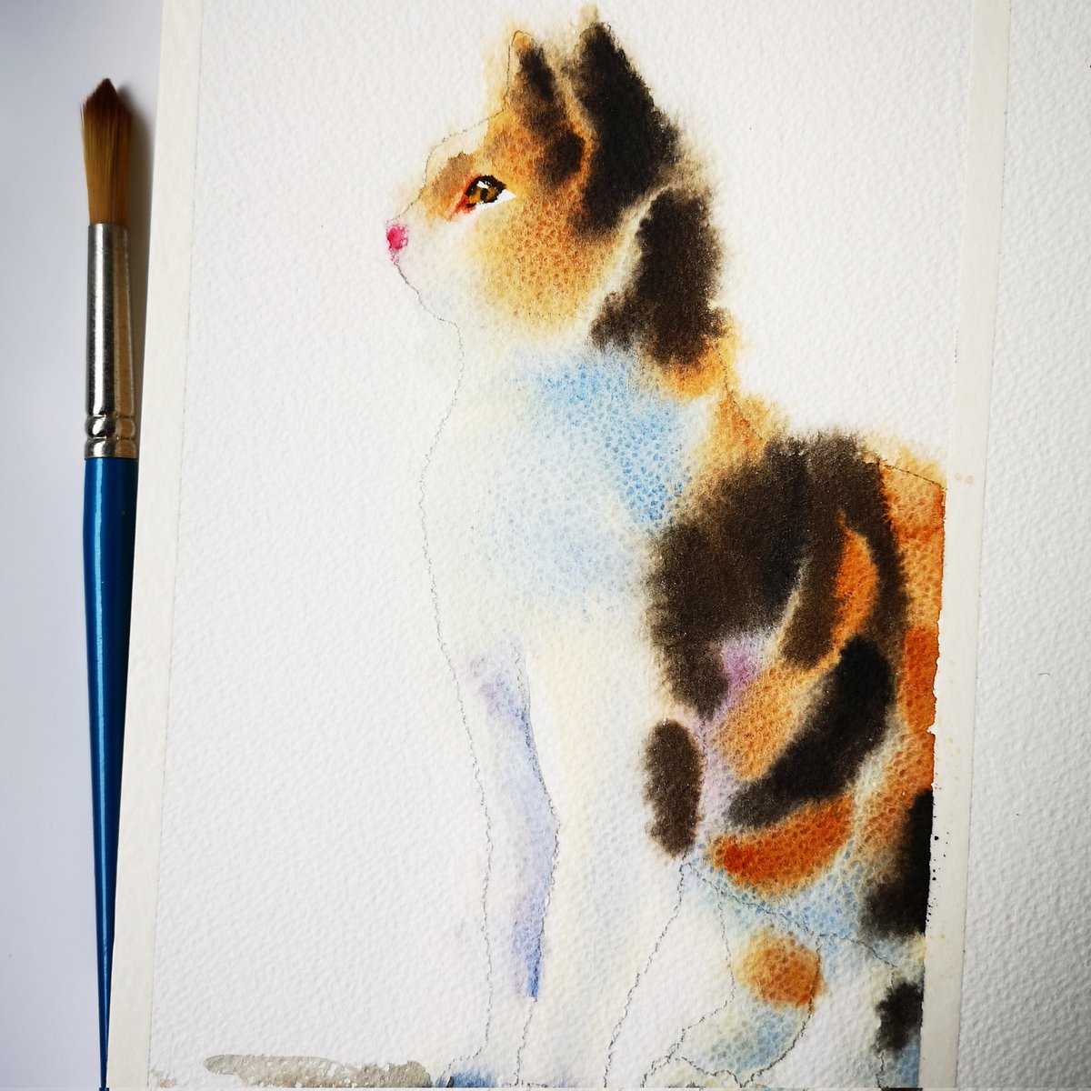 JaneOneArt1's tweet photo. Slowly I'm proceeding with my #watercolor challenge. Day 47, a fluffy #cat https://t.co/XrnnAyliF4