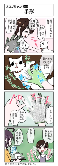 第35話!

#ネコノリッカ #猫リッカ #サイベリアン #四コマ漫画 #猫漫画 #猫の居る暮らし #猫好きさんと繫がりたい #猫 
#RT歓迎 