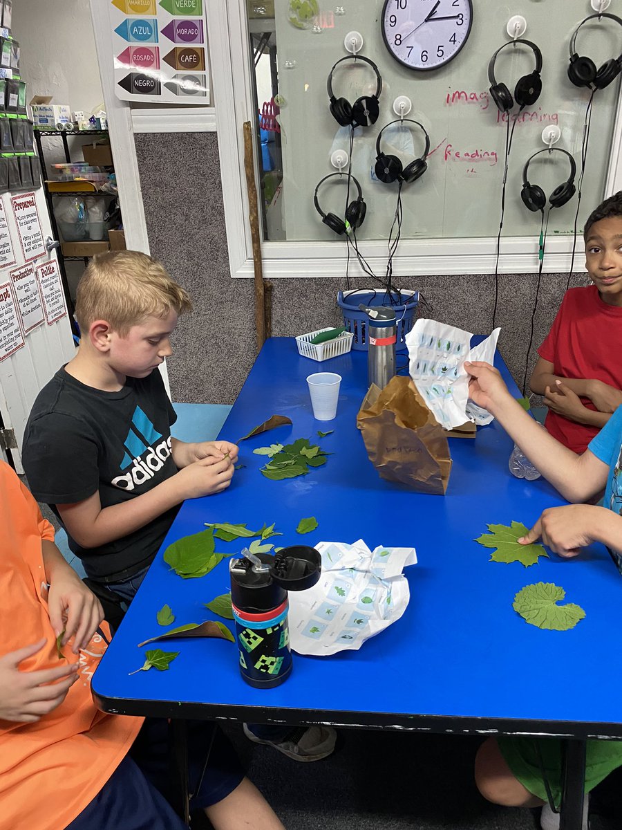 beaconhouseinc's tweet photo. We love ❤️ that our Maryland International School of Sustainability &amp; Technology students have this natural space to use! #childcareprovider #childcarecenter #hagerstown #hagerstownmd #washingtoncounty #washingtoncountymd #prek #preschool #prekindergarten #nature #ecology https://t.co/iBDeP6k8MX