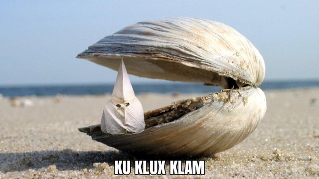 RayAgua1031's tweet image. #TuckerCarlsonsProblems Mollusk replacement theory.