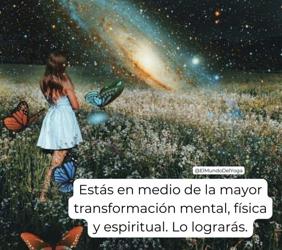 Sololuz5's tweet photo. VAS A LOGRARLO ! https://t.co/zwVbfMB6Wr