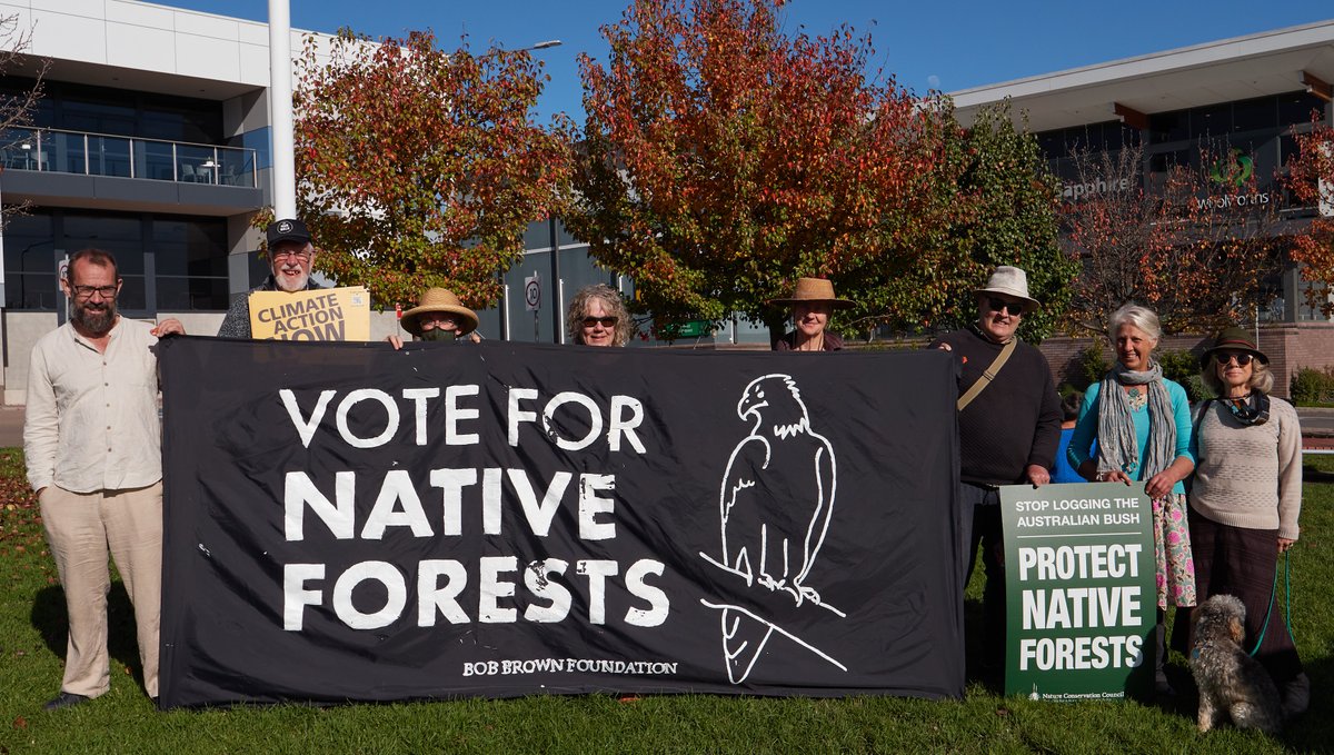 forestsforlife's tweet photo. Federal Govts have power to end native forest logging. In the background, the Bega Valley Shire Council which in 2020 approved an expansion of processing facilities at the Eden chipmill giving a future to the SE NSW woodchipping industry. #VoteEnvironment  #votefornativeforests https://t.co/faQEOZXsnx
