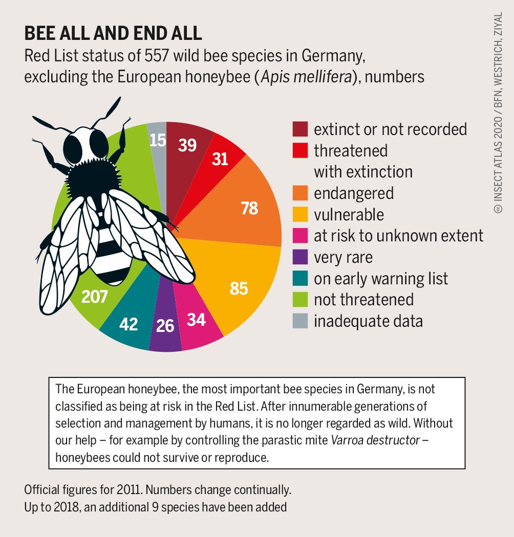 boell_eu's tweet photo. 🟢 #BeeFacts 🐝 on #WorldBeeDay:
‼️ 9.2% of 2k wild #bee species in 🇪🇺 are threatened with extinction
😰 Almost half of 561 #wildbee species in 🇩🇪 are in decline
☠️ #Neonicotinoids harm wild & #honey #bees
Read more in our #InsectAtlas👉🏽 https://t.co/saSk7aqcJO #EUPollinators https://t.co/LhKl2KQF7m