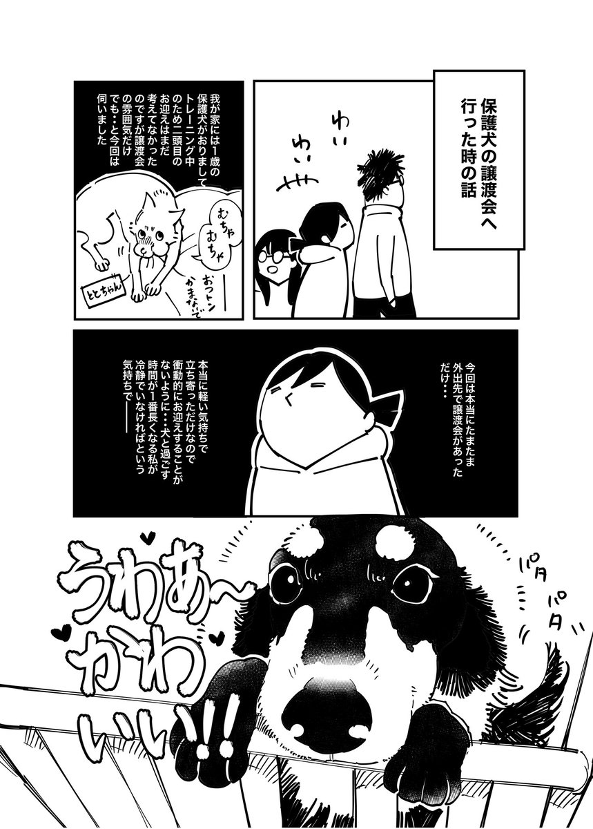 保護犬の譲渡会へ行ったが 団体の発言に不審なところが多すぎて辞退した話 インスタ映えで高く売れる 寄付金の額も審査に入る Togetter