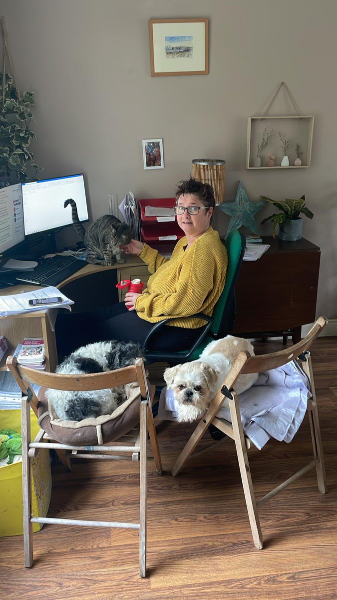sarah290470's tweet photo. Never short of company #DreamsStartUCL #TEWVResearch https://t.co/u1ruMXHttY