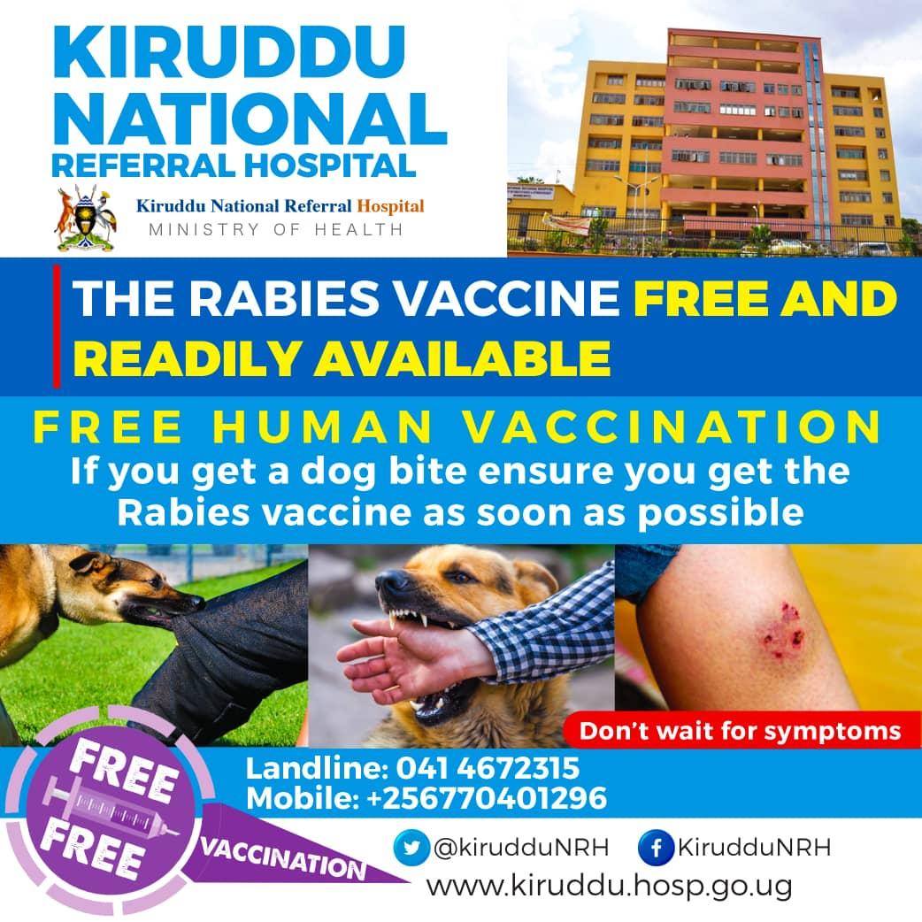 Kiruddu Hospital 📍 

Free Human Vaccination. 💉 

• The Rabies vaccine is free and readily available 🐕 💉