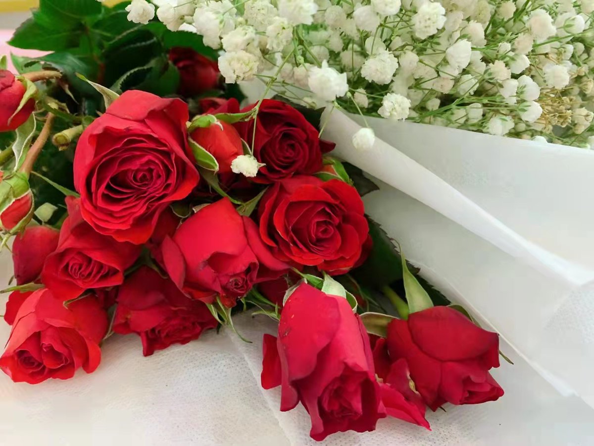 anna80241088's tweet photo. Today is the 520 festival❤️, I don't know who sent the flowers🌹 https://t.co/0E0TizyP4X