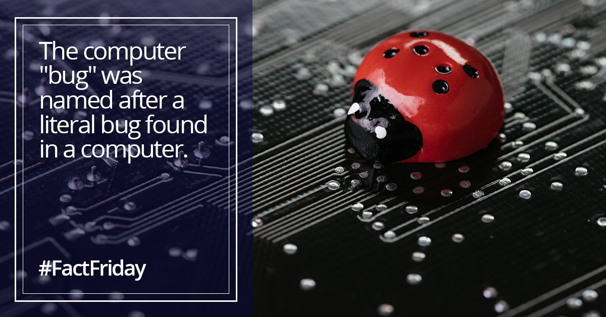 The computer "bug" was named after a literal bug found in a computer.

In 1947, while computer pioneer Grace Hopper worked on a Mark II Computer at Harvard University, a moth got trapped causing an error. It became the first recorded case of a 'bug being found. 

#FactFriday