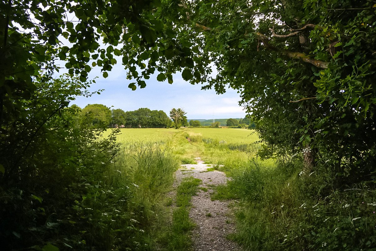 carnetdescapade's tweet photo. 🏃♀️ Test d’une nouvelle boucle Station de trail à #Challes, dans la #Sarthe - 20km et 200m de D+ sur un terrain facile, avec de beaux paysages! 😍 #trailrunning https://t.co/zyPBu59ZrE