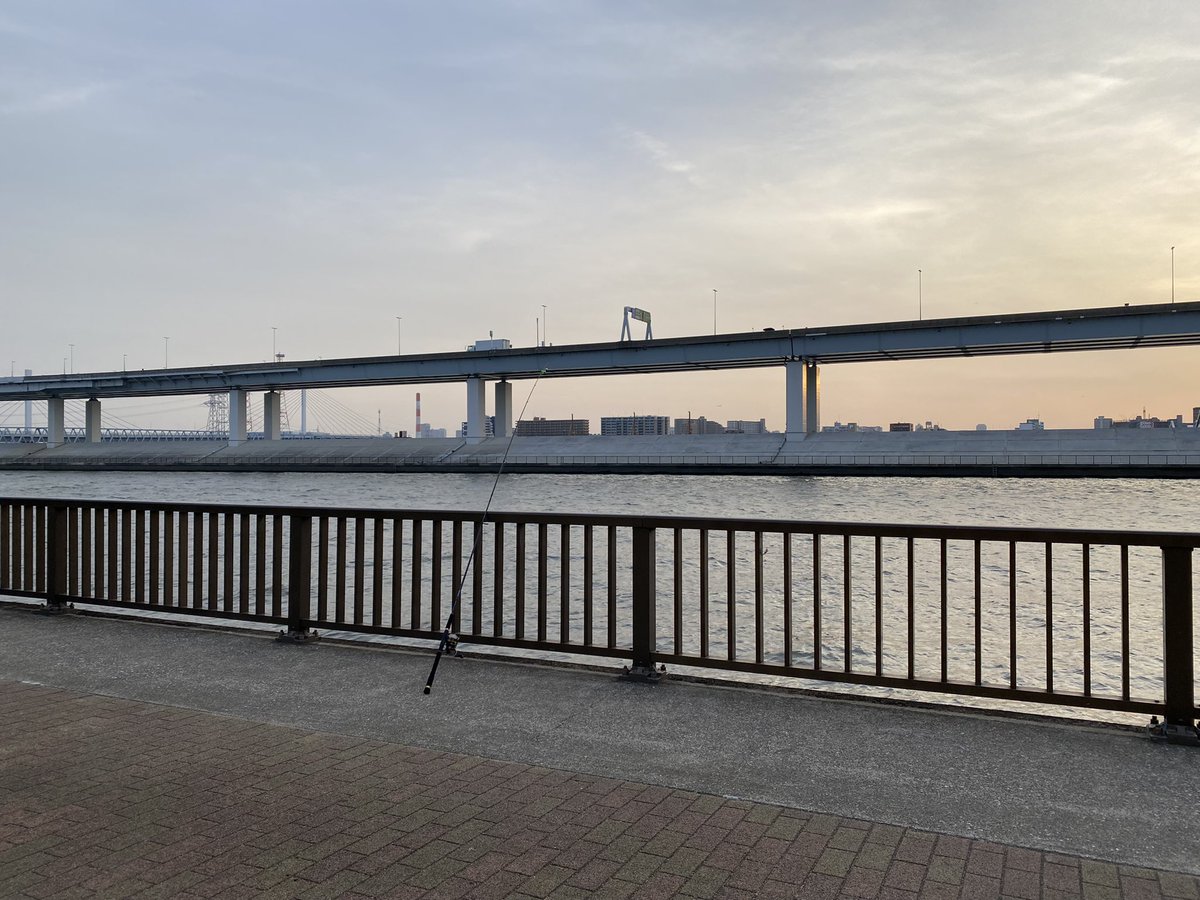 本日16:45〜から釣り生配信します🎣
本当にのんびーり釣りするだけ！

※写真はイメージです

#お魚ちゃんねるエイジ