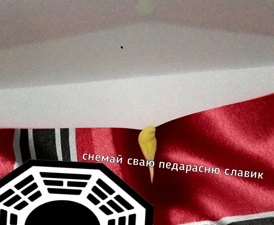 dwarfKTM's tweet photo. ⚡ПОПУГАЙ Х@ЙНИ НЕ СКАЖЕТ ☝️
💾https://t.co/f0h5HuIJdX https://t.co/vi7SKtjFaw